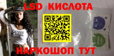 молекула духа Камышлов