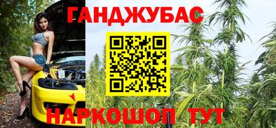 молекула духа Камышлов